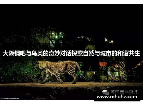 大阪钢吧与鸟类的奇妙对话探索自然与城市的和谐共生