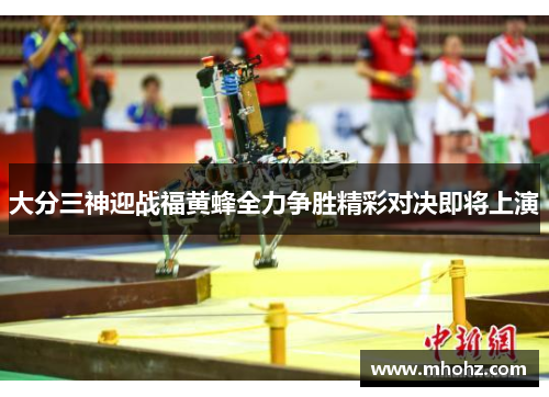 大分三神迎战福黄蜂全力争胜精彩对决即将上演