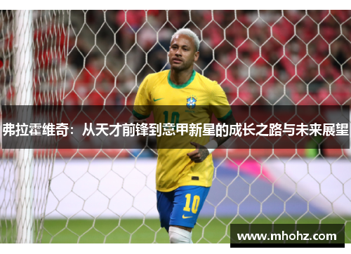 弗拉霍维奇：从天才前锋到意甲新星的成长之路与未来展望