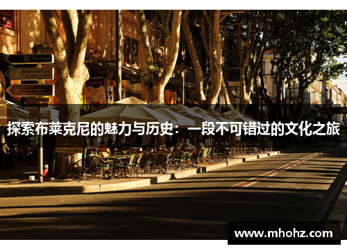 探索布莱克尼的魅力与历史：一段不可错过的文化之旅